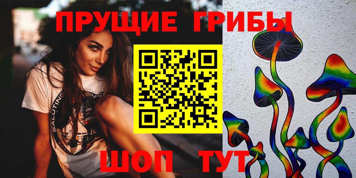 купить  сайты  Галлюциногенные грибы Psilocybine cubensis  Вход с VPN  Ревда 